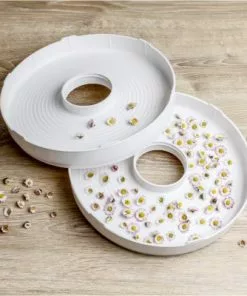 Dampfgarer & Reiskocher Rommelsbacher DA 750 Dörrautomat Weiß -Kuchenkleingerate Verkaufe 5e23f7e0 aecd 4a26 b16e 3f63811df4ff 600x600