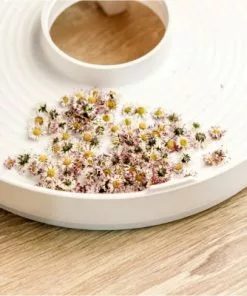 Dampfgarer & Reiskocher Rommelsbacher DA 750 Dörrautomat Weiß -Kuchenkleingerate Verkaufe d9904a55 c3b9 4bfd a046 2c9c51b4b34f 600x600